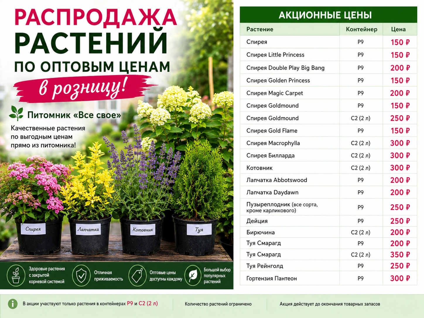Распродажа растений по оптовым ценам в розницу